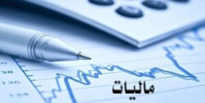 اولویت امور مالیاتی فارس، گرفتن مالیات از دانه‌ درشت‌هاست