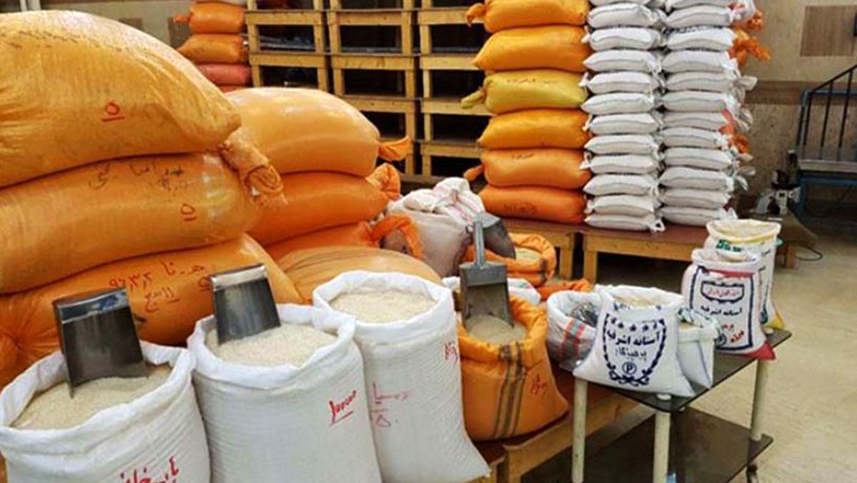 برنج ایرانی هاشمی کیلویی چند؟ + جدول قیمت برنج مازندران (گرگان، گیلان، قائمشهر، فریدونکنار  و…)