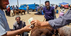 جمع‌آوری نذورات گوشت قربانی در ۶ قربانگاه گلستان