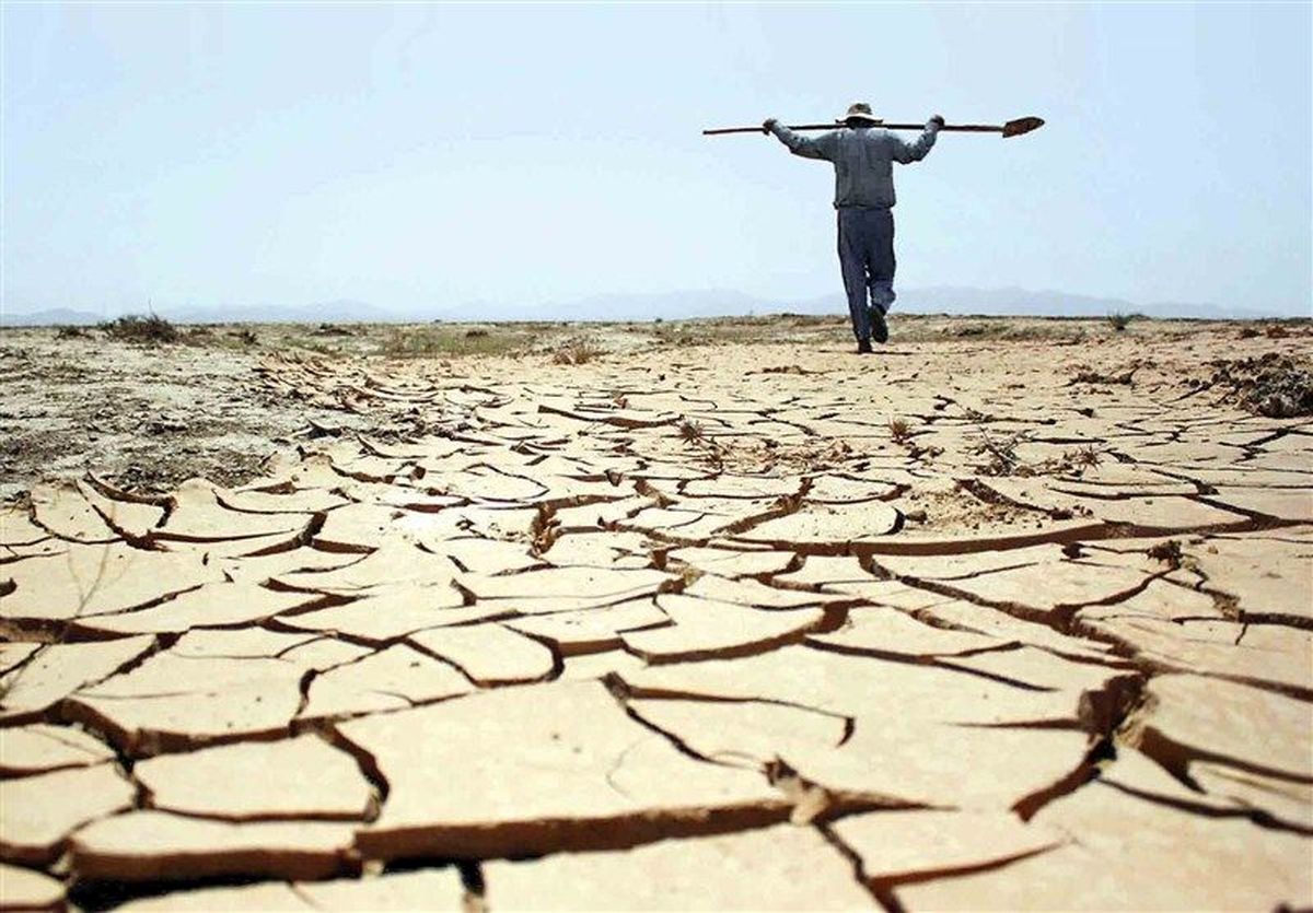 خشکسالی ۳۴ درصد محصولات کشاورزی جهان را از بین برده است