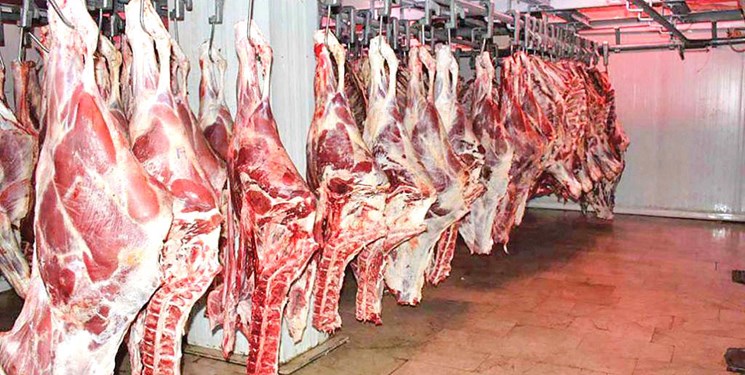 شهروندان گوشت قرمز را از مراکز مورد تایید دامپزشکی خریداری کنند