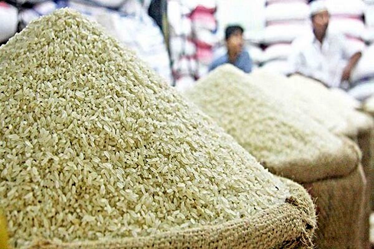 قیمت برنج مازندران امروز / طارم هاشمی کیلویی چند؟