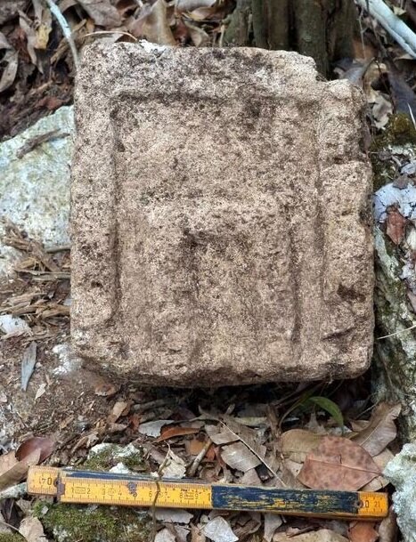 کشف شهر باستانی در جنگل