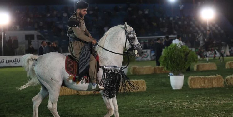 جشنواره بین‌المللی اسب کُرد به میزبانی کرمانشاه مقدمه‌ای برای ثبت‌جهانی آن است