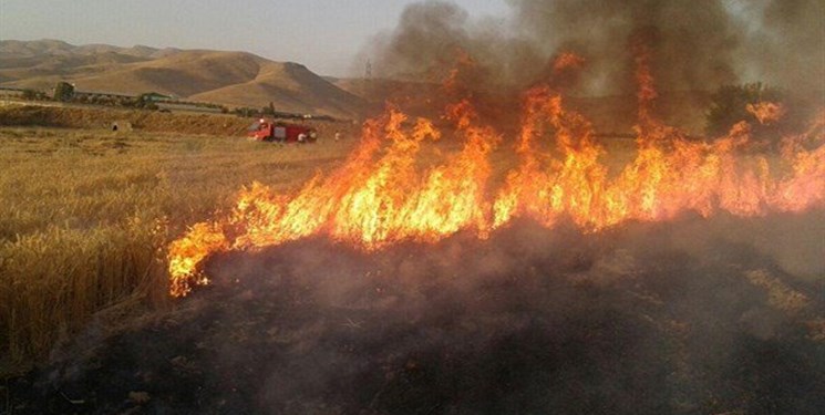 خسارت ۲۱ میلیارد تومانی آتش سوزی به ۱۸۸ هکتار از اراضی کشاورزی و مراتع لرستان