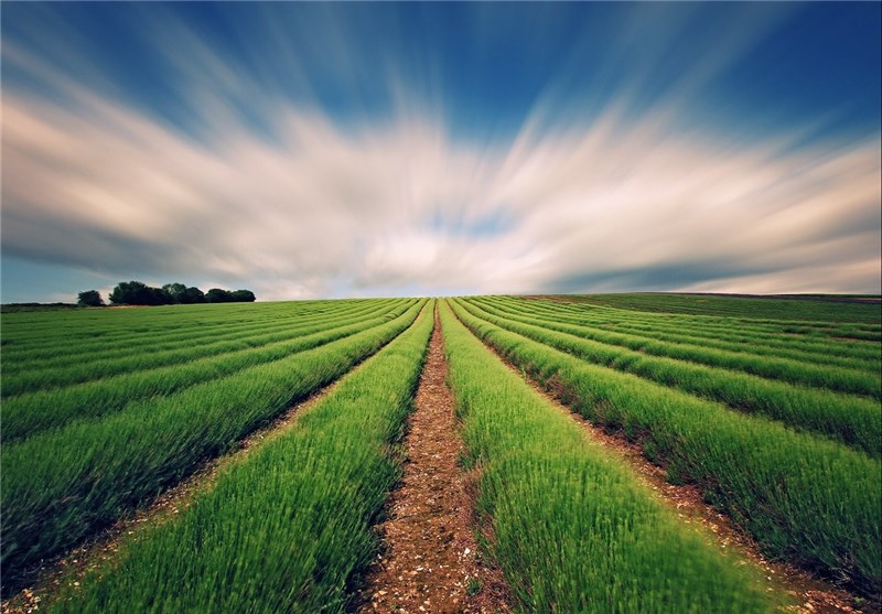 راه‌اندازی سامانه‌ هواشناسی محصولات استراتژیک کشاورزی