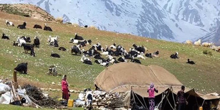 زنجیره تولید گوشت قرمز در روستاهای مازندران حفظ شود