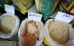 پاسخ مثبت دولت به درخواست برنج‌کاران/ اختصاص ۲.۵ همت برای خرید برنج