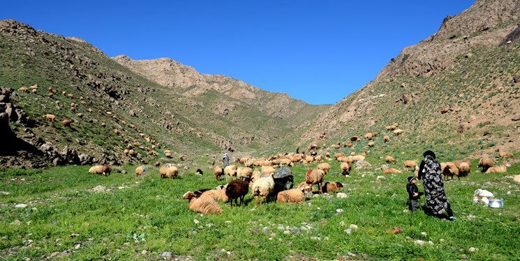 یک روز گرم تابستانی در تفرجگاه های خنک روستای پشته تایباد