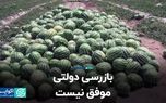 بازرسی دولتی موفق نیست