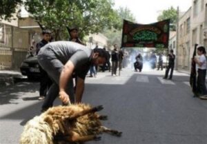 دامپزشکی: از کشتار دام در معابر جدا خودداری شود