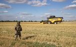 روسیه صادرات ذرت و گندم را آسان کرد؛‌ جو را سخت