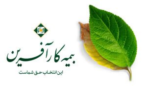 رشد اقتصادی ضریب نفوذ بیمه را افزایش می‌دهد