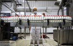 ایران در آسیا اول شد؛ رشد ۱۶.۵ درصدی صادرات شیر