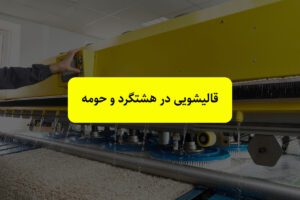 خدمات قالیشویی