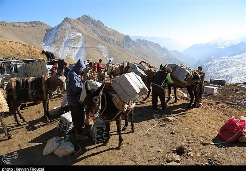 سهم اندک کولبران از منافع عظیم تجارت مرزی / بازگشایی معابر مرزی مشکل مرزنشینان را برطرف می‌کند؟