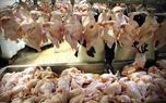 مرغ گران شد / کیلویی ۷۶هزار تا ۱۶۹ هزار تومان