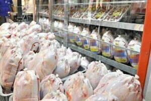 مشکل کمبود مرغ در بازار کردستان رفع شد| ثبات در قیمت مهمترین مطالبه مردم