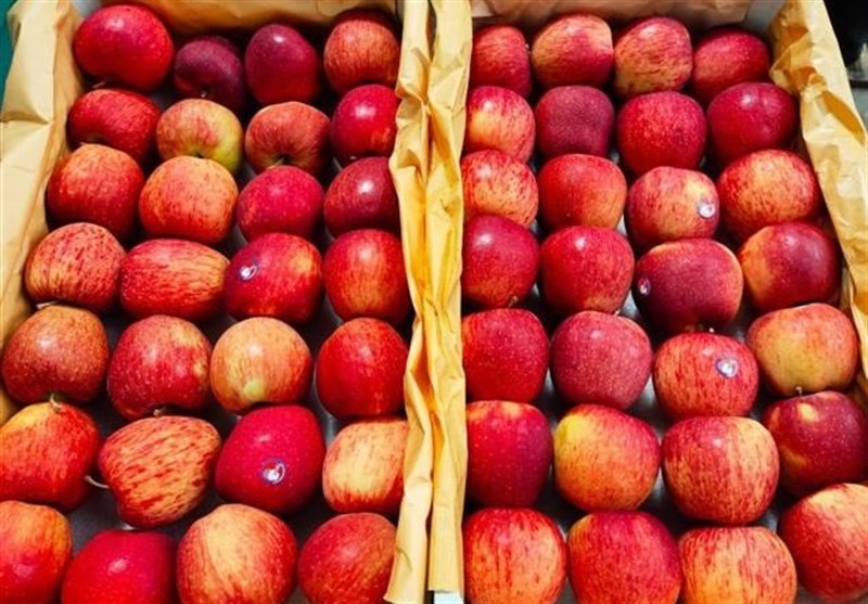 واردات سیب ایران برای تنظیم بازار ۱.۴میلیاردنفری هند