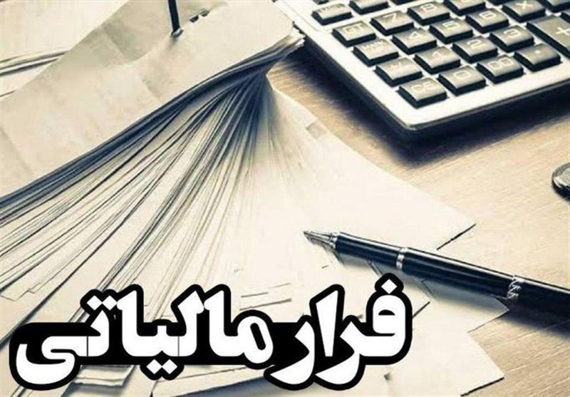 کشف فرار مالیاتی ۳۶۳ میلیارد تومانی شرکت فعال در صنعت چوب