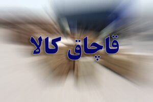 افزایش ۳۶ درصدی کشف کالای قاچاق در مسیر ریلی و هوایی