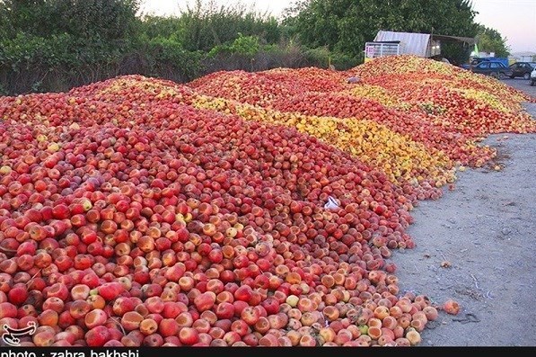 با تولید محصولات باغی و کشاورزی دورریز "مرگ دریاچه ارومیه" را به تماشا نشسته‌ایم!