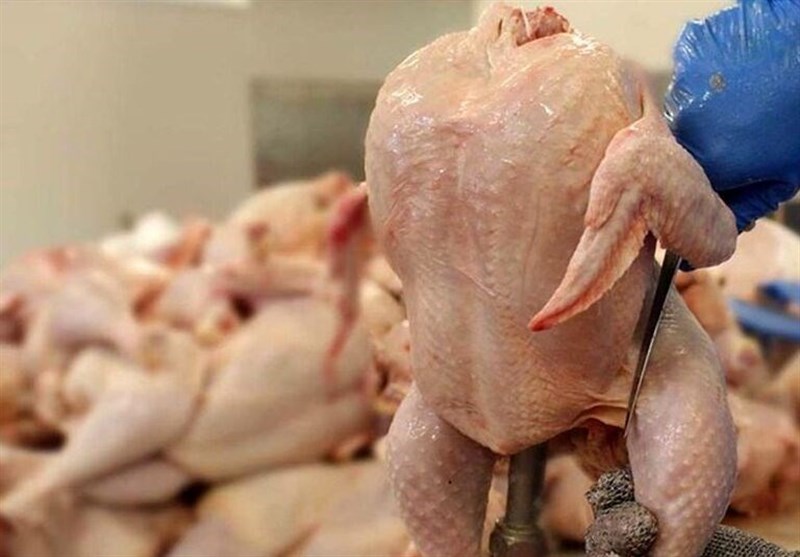 مرکز آمار: عرضه مرغ در آذر ۸ درصد کم شد