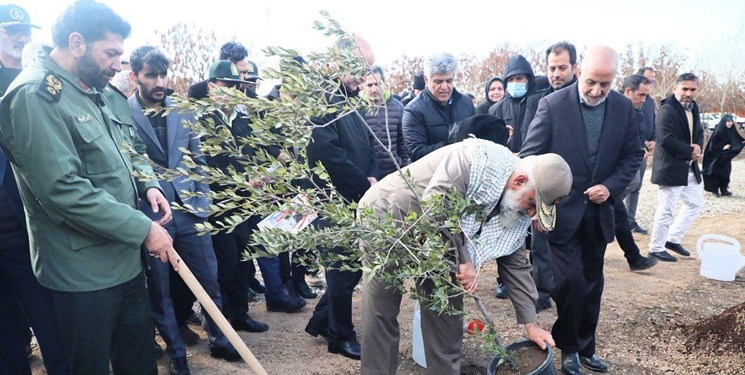 ۲۴ هزار نهال به یاد ۲۴ هزار شهید در تهران کاشته شد