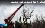 از شعرخوانی نرجس سلیمانی برای زاکانی تا جابه جایی ۲ هزار درخت درشرق پایتخت