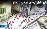 شش دلیل نوسان در قیمت دلار