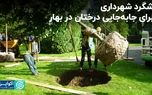 شگرد شهرداری برای جابه‌جایی درختان در بهار