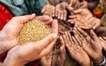 زنگ خطر گرسنگی به صدا درآمد؛ قیمت غذا در جهان رو به افزایش
