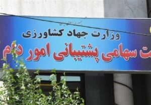 تصویب اعتبار ۱۰ هزار میلیاردی دولت برای تسویه بدهی یک شرکت