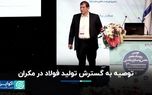 توصیه به گسترش تولید فولاد در مکران