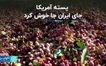 پسته آمریکایی رقیب اصلی پسته ایرانی در بازارهای جهانی