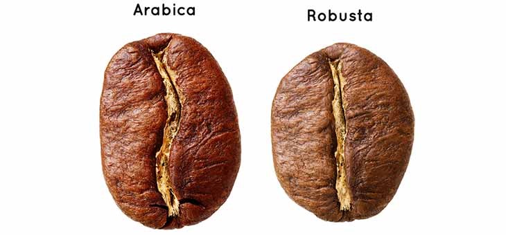 قهوه عربیکا یا قهوه روبوستا؟ 
