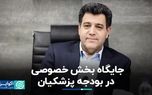 جایگاه بخش خصوصی در بودجه پزشکیان