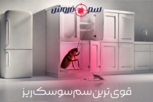 قوی ترین سم سوسک ریز کابینت – نجات آشپزخانه از شر سوسک آلمانی