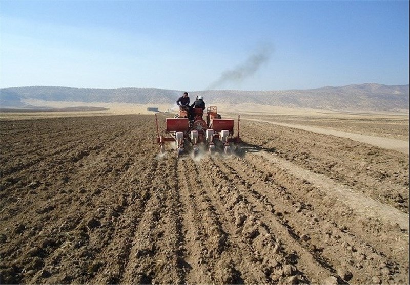 ۵۰۰ هزار هکتار کشت پاییزه اردبیل در ایستگاه آخر
