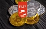 معاون وزیر اقتصاد: پیگیری FATF بدون توجه به حاشیه‌سازی‌ها ادامه دارد