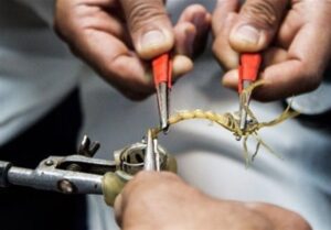 جایگاه جهانی ایران در تولید سرم‌های مارگزیدگی چند ظرفیتی