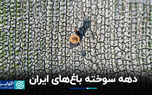 دهه سوخته باغ‌های ایران