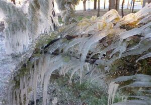 رکورد یخبندان در اردبیل شکسته شد؛ ۲۲ درجه زیر صفر