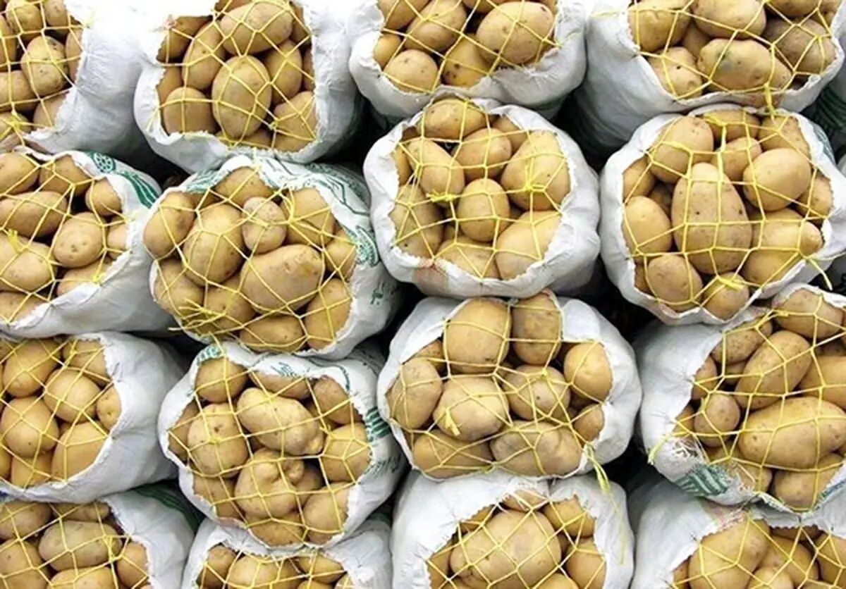عرضه گسترده میوه و سیب‌زمینی توسط سازمان تعاون روستایی در سراسر کشور