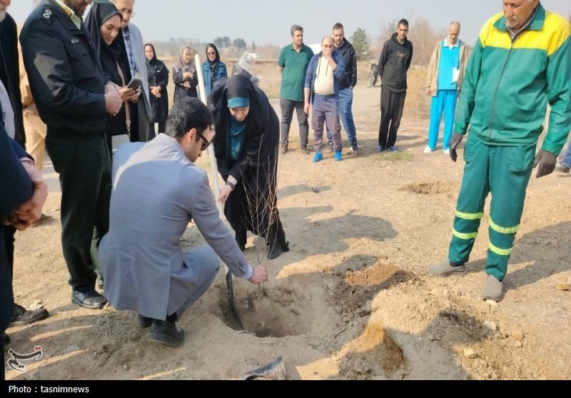 هزار نهال در بیمارستان روانپزشکی رازی کاشته شد