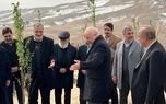 پایان کمربند سبز ۵۰ هزار هکتاری تهران پس از ۳۸ سال / درختکاری روی کوه‌های شمال تهران کلید می‌خورد