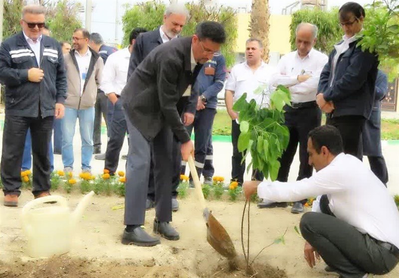 کاشت بیش از ۵ هزار نهال در جنوب استان بوشهر