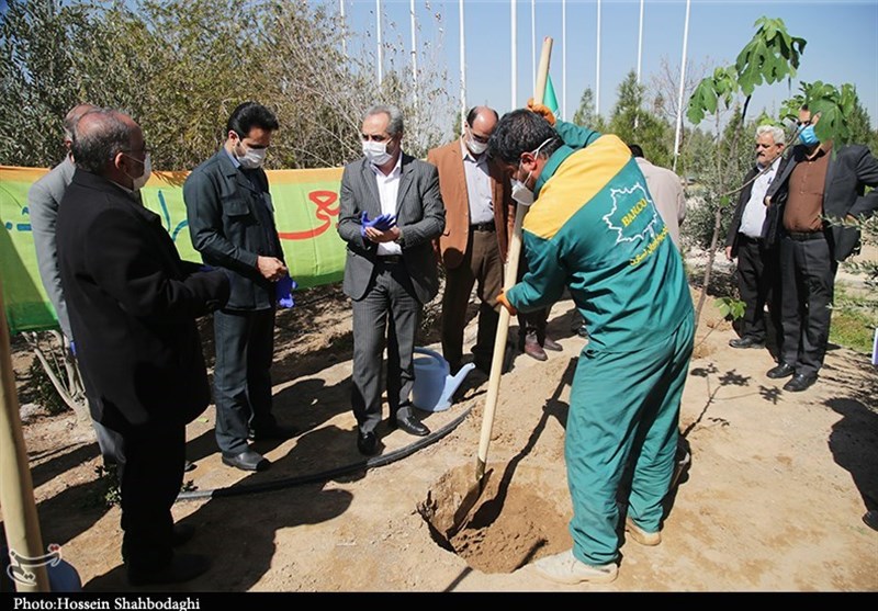 کاشت نهال به یاد ۳۵۳۵ شهید در زنجان