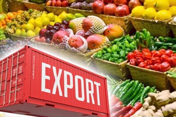 افزایش ۳۰ درصدی صادرات محصولات کشاورزی پیگیری می شود