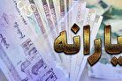 با خرید خودرو یارانه نقدی حذف می شود؟/ وزیر کار پاسخ داد